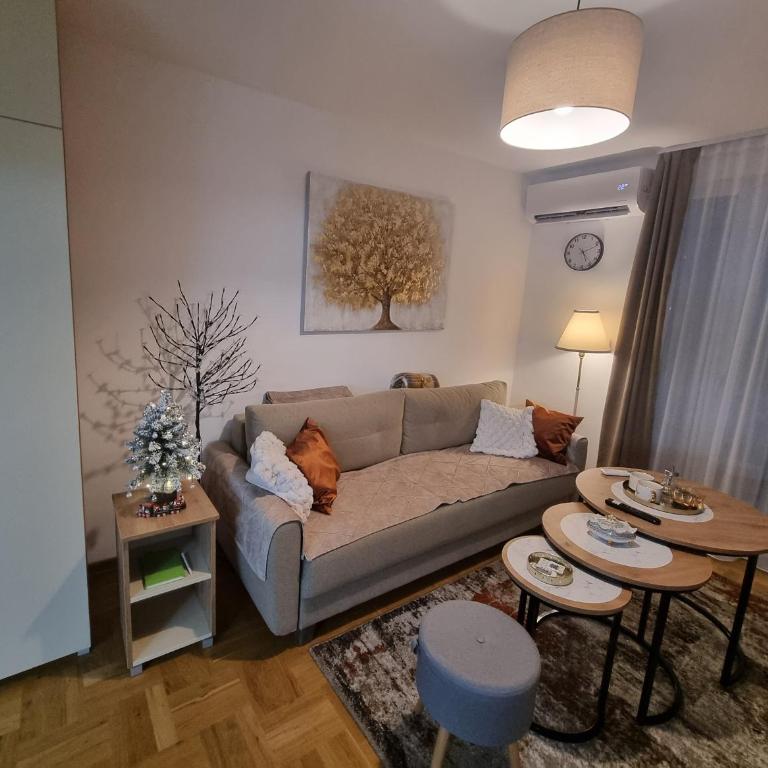 Apartmani Sofija - Porodični Apartman s 1 Spavaćom Sobom - 6