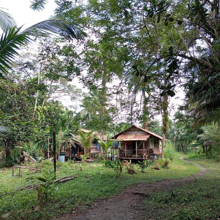 Serene Oceanfront Cabin Retreat in Buenaventura - Casa - 10