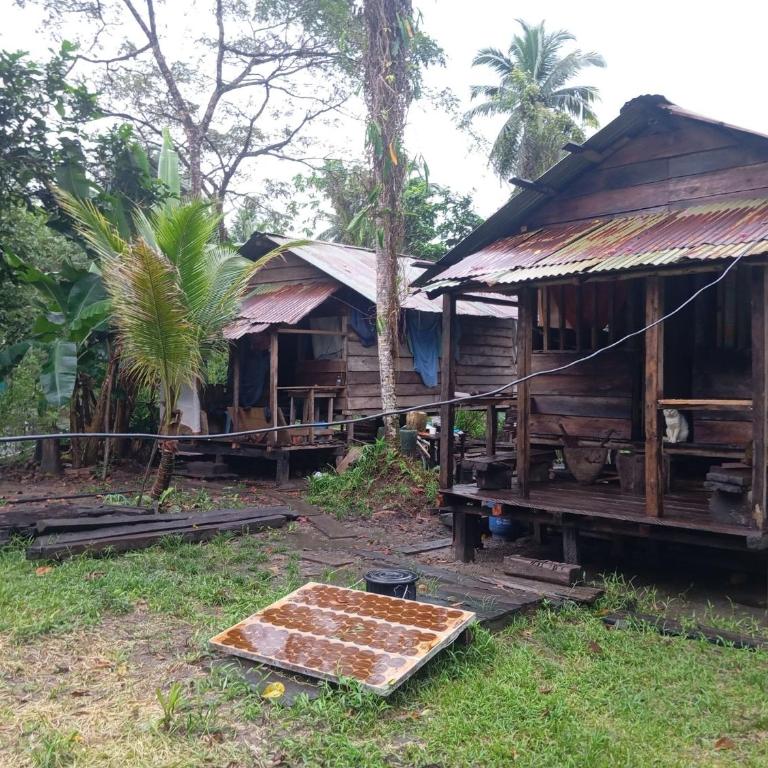 Serene Oceanfront Cabin Retreat in Buenaventura - Casa - 11