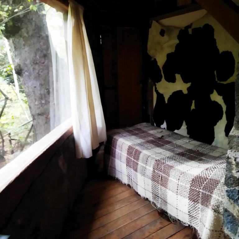 Hostal Nunatak - Apartamento de 2 dormitorios - 7