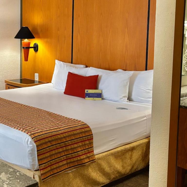 Hotel Guadalajara Plaza Ejecutivo - Habitación Doble Estándar - 2