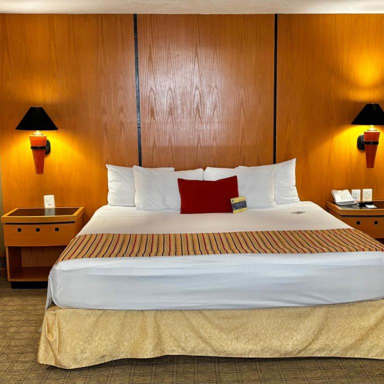 Hotel Guadalajara Plaza Ejecutivo - Habitación Doble Estándar - 3