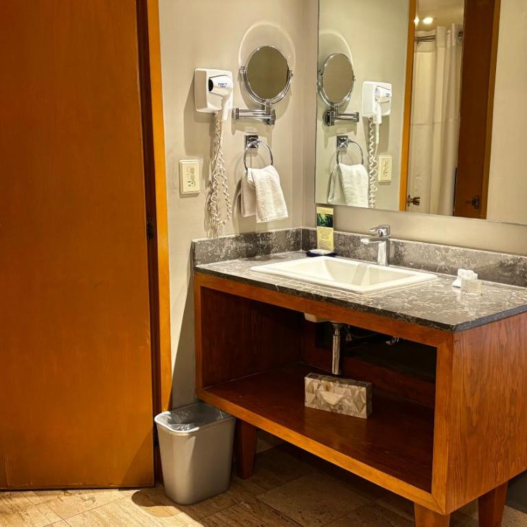 Hotel Guadalajara Plaza Ejecutivo - Habitación Doble Estándar - 1