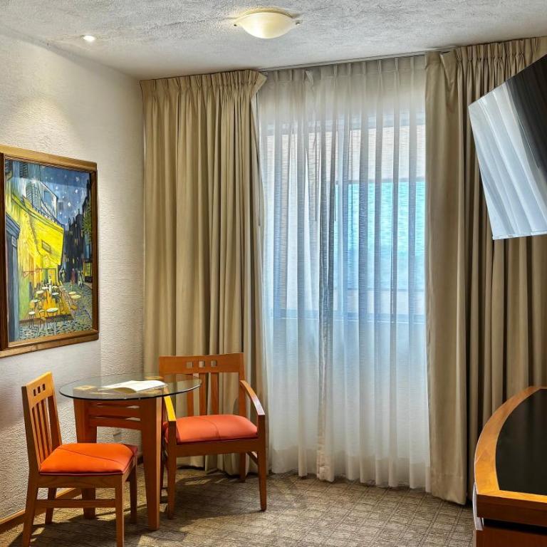 Hotel Guadalajara Plaza Ejecutivo - Habitación Doble Estándar - 4