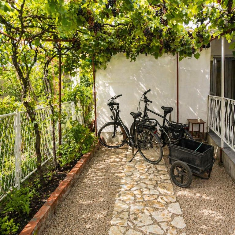 Welcome to our holiday home in Sutomore - Kuća sa 3 Spavaće Sobe - 10