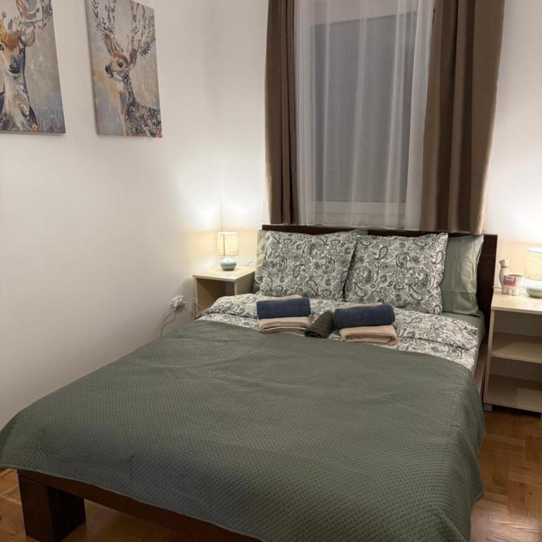 Apartmani Sofija - Apartman sa 1 Spavaćom Sobom, Balkonom i Pogledom na Grad - 3