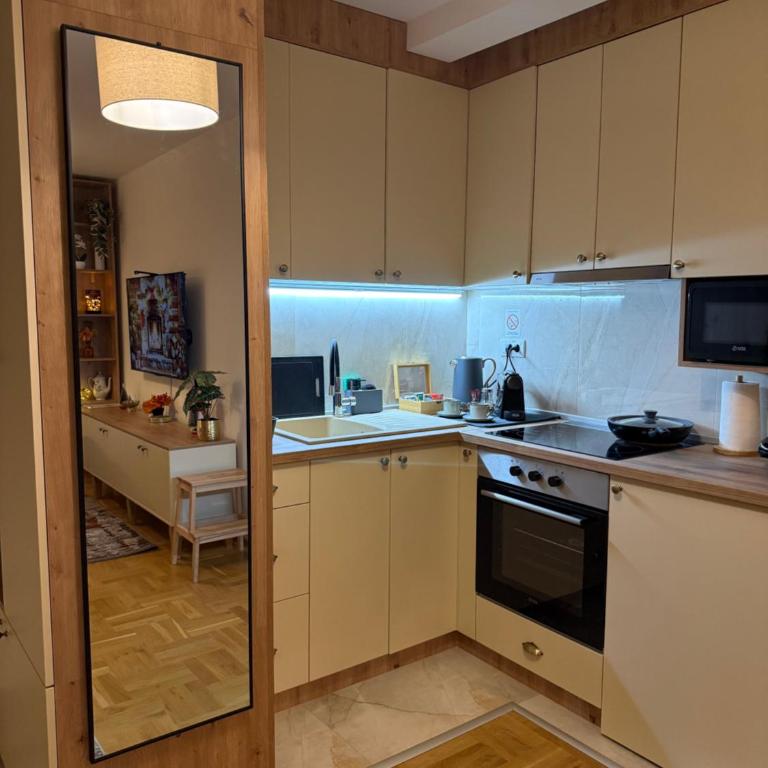 Apartmani Sofija - Apartman sa 1 Spavaćom Sobom, Balkonom i Pogledom na Grad - 8