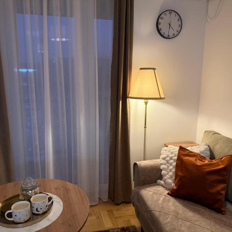 Apartmani Sofija - Apartman sa 1 Spavaćom Sobom, Balkonom i Pogledom na Grad - 9