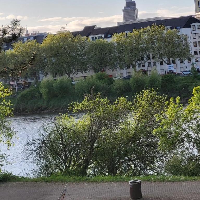 Le Cocon du Bord de Loire ! Appartement spacieux pour 6 personnes avec terrasse & parking - Apartment mit 3 Schlafzimmern - 17