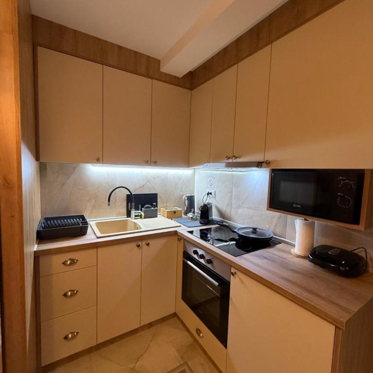 Apartmani Sofija - Apartman sa 1 Spavaćom Sobom, Balkonom i Pogledom na Grad - 11