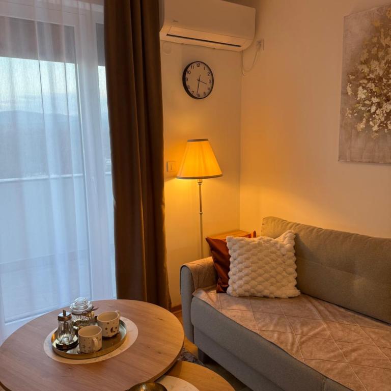Apartmani Sofija - Apartman sa 1 Spavaćom Sobom, Balkonom i Pogledom na Grad - 10
