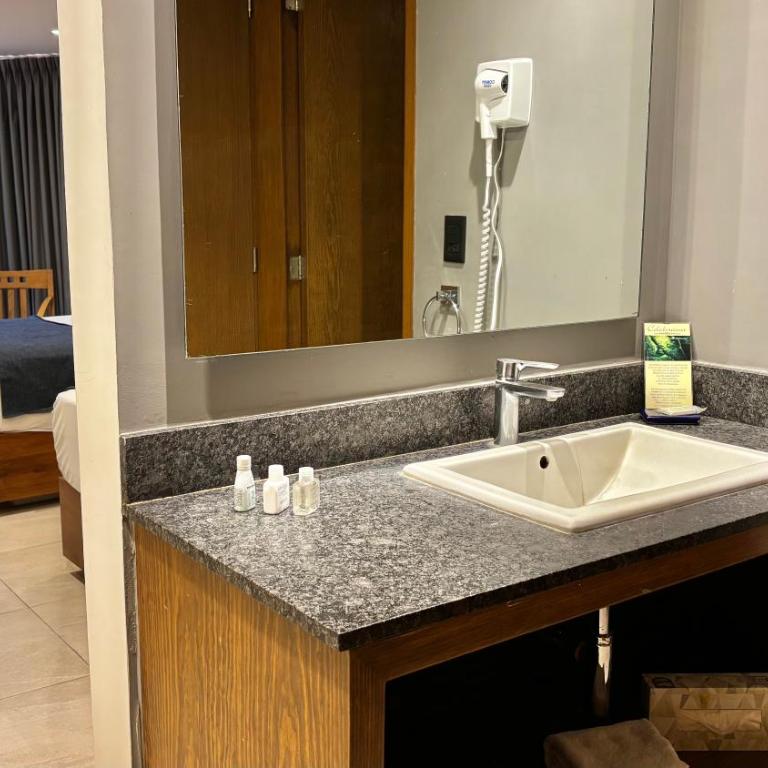 Hotel Guadalajara Plaza Ejecutivo - Habitación Doble Superior - 2 camas - 8