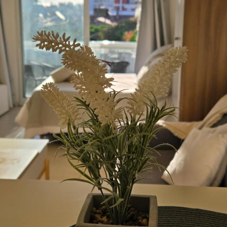 Vistas al mar en Zona Playa Varese - One-Bedroom Apartment - 6