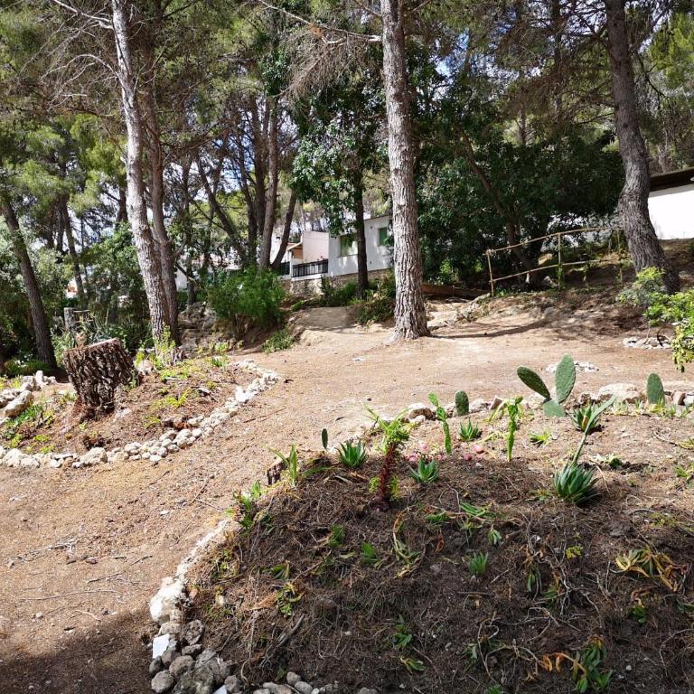 Apartamento entre la playa y la montaña - Apartamento de 2 dormitorios - 14