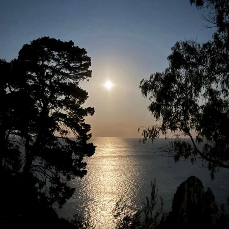 Villacore Capri - Suite King con Vista Mare - 4