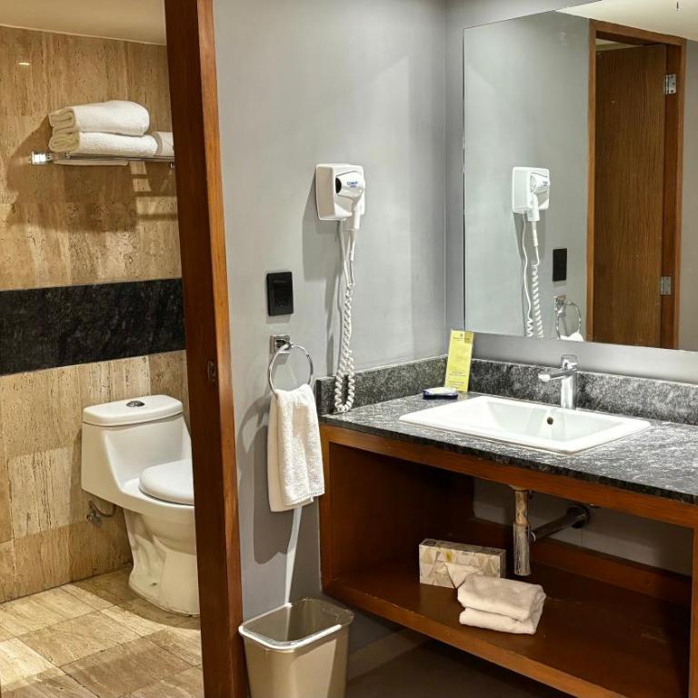 Hotel Guadalajara Plaza Ejecutivo - Habitación Superior - 1 cama grande - 6