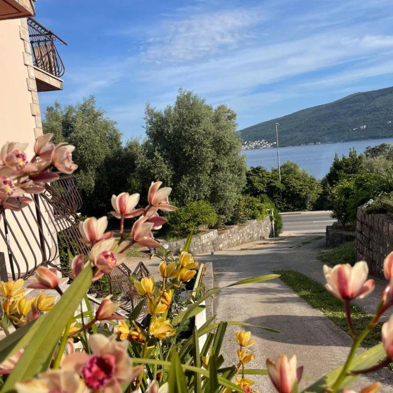 Apartments and Bungalows Mimoza Baošići - One-Bedroom Apartment with Terrace and Sea View - 1