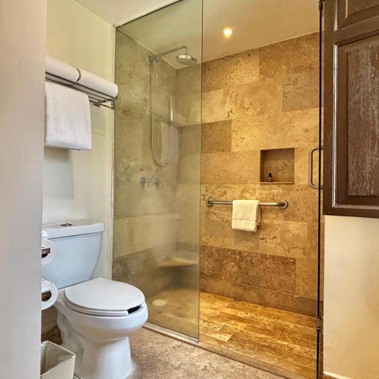 Hotel Guadalajara Plaza Ejecutivo - Suite - 4