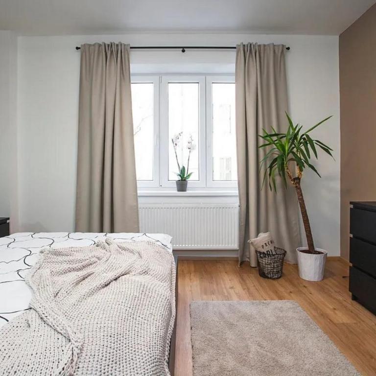 Base ideale per esplorare - Apartment - 15