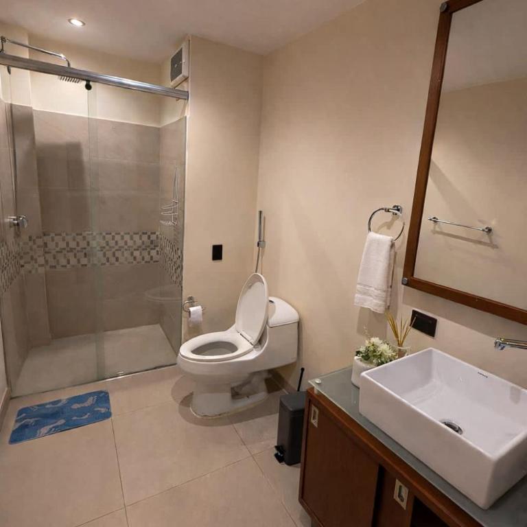 Apartamento exclusivo con sauna y jacuzzi privado - Apartamento - 11