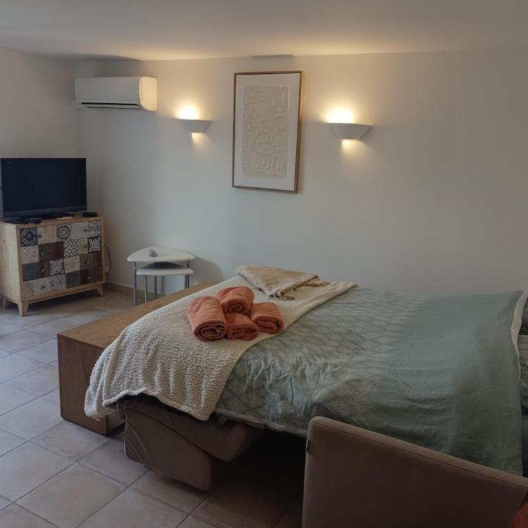 Studio dans villa, domaine calme et piscine - Monolocale con Divano-Letto - 3