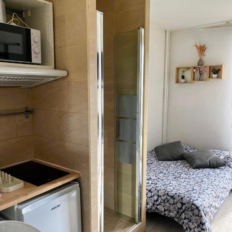 Studio au pied de la TOUR EIFFEL - Appartement 1 Chambre - 13