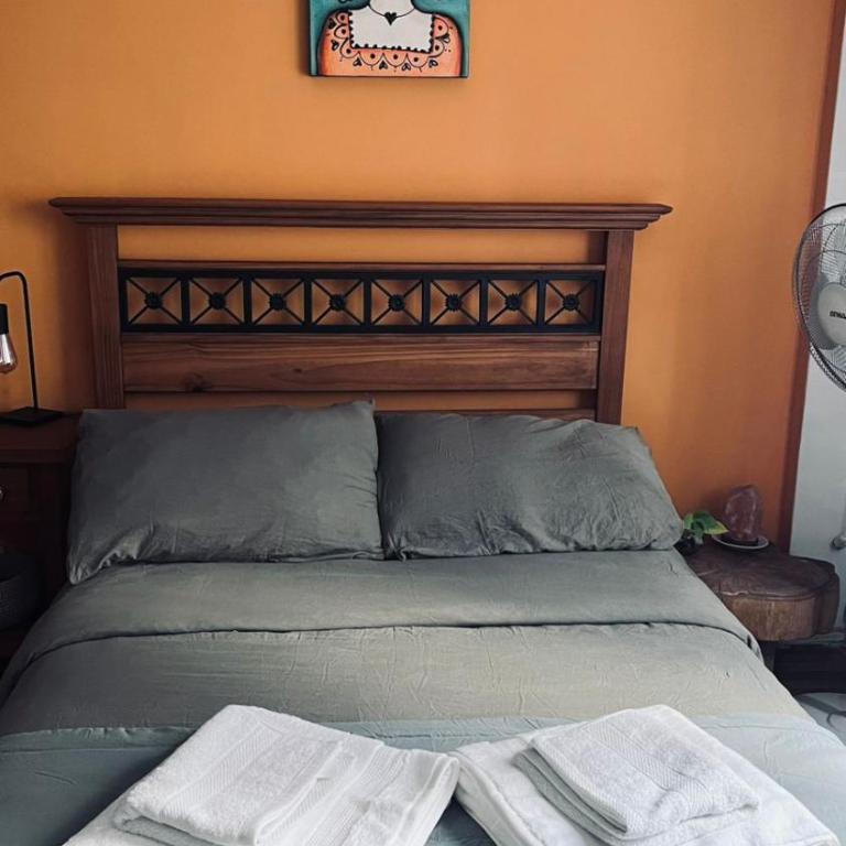 Monoambiente Felicia - Apartamento de 1 dormitorio - 1