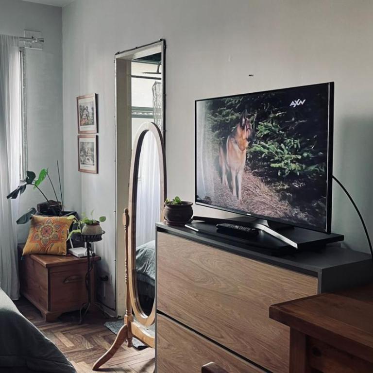 Monoambiente Felicia - Apartamento de 1 dormitorio - 5
