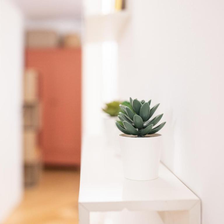 Stylish apartment, 2 bedrooms, Elevator - Two-Bedroom Apartment - 9