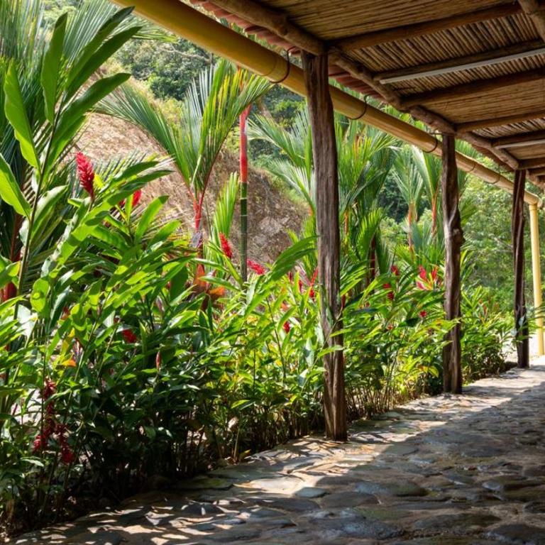 Villa Berakah casa campestre - Three-Bedroom Villa - 10
