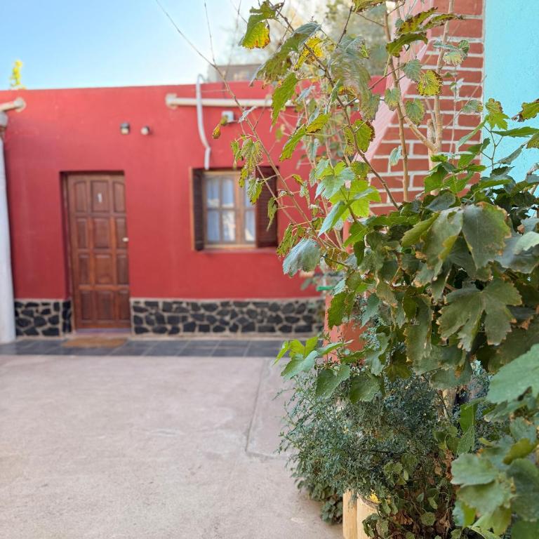 Duna Blanca III - Apartamento de 1 dormitorio - 20