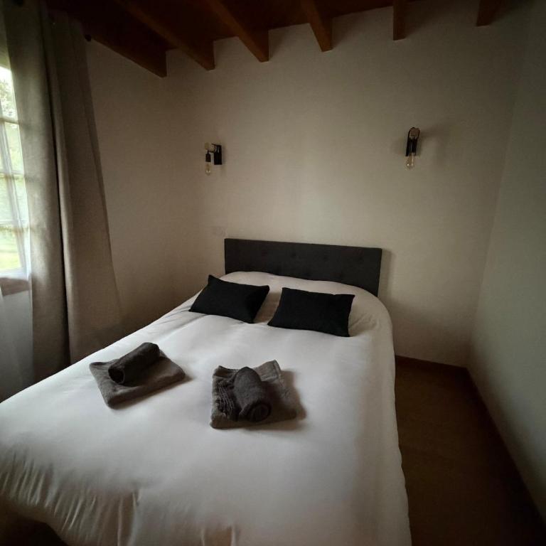 Le petit châtaignier , T2 cosy proche lac et océan - Two-Bedroom Apartment - 3