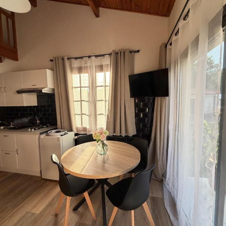 Le petit châtaignier , T2 cosy proche lac et océan - Two-Bedroom Apartment - 20