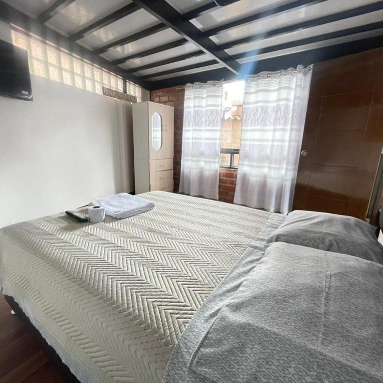 Casa Raiz - One-Bedroom Apartment - 1