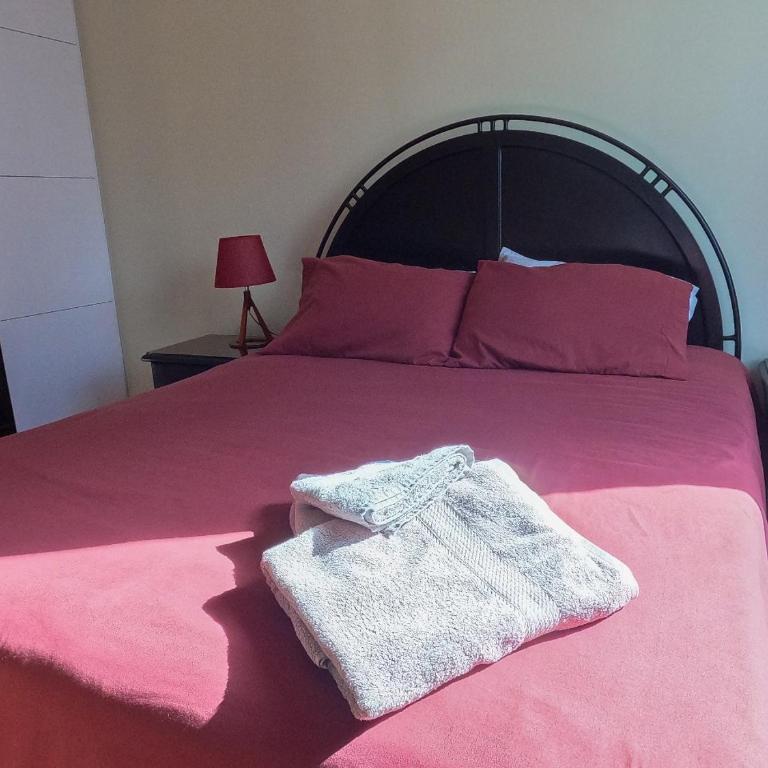 Sopocachi Cozy Apartment - One-Bedroom Apartment - 4