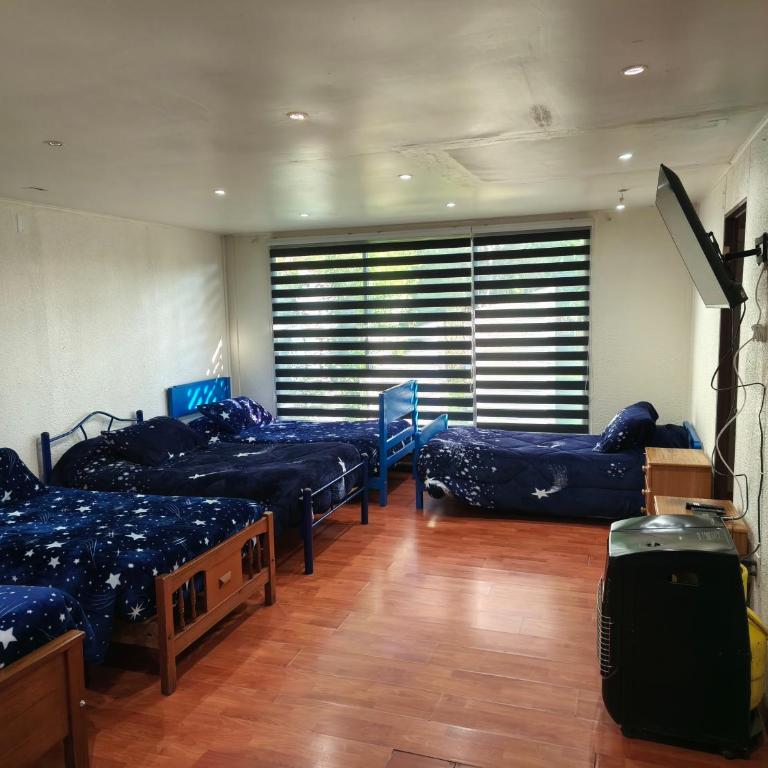 Hostal Fernanda - Family Room - 1