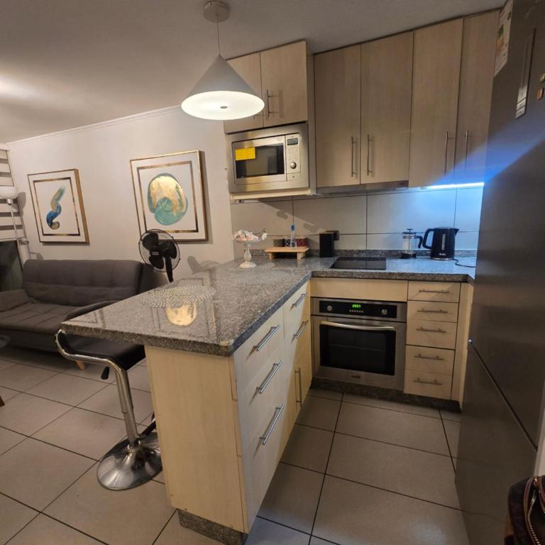 Premium Departamento Full equipado Providencia - Apartamento con vistas a las montañas - 1