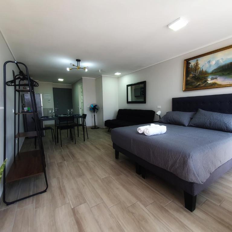 Cómodo y acogedor departamento studio - One-Bedroom Apartment - 1