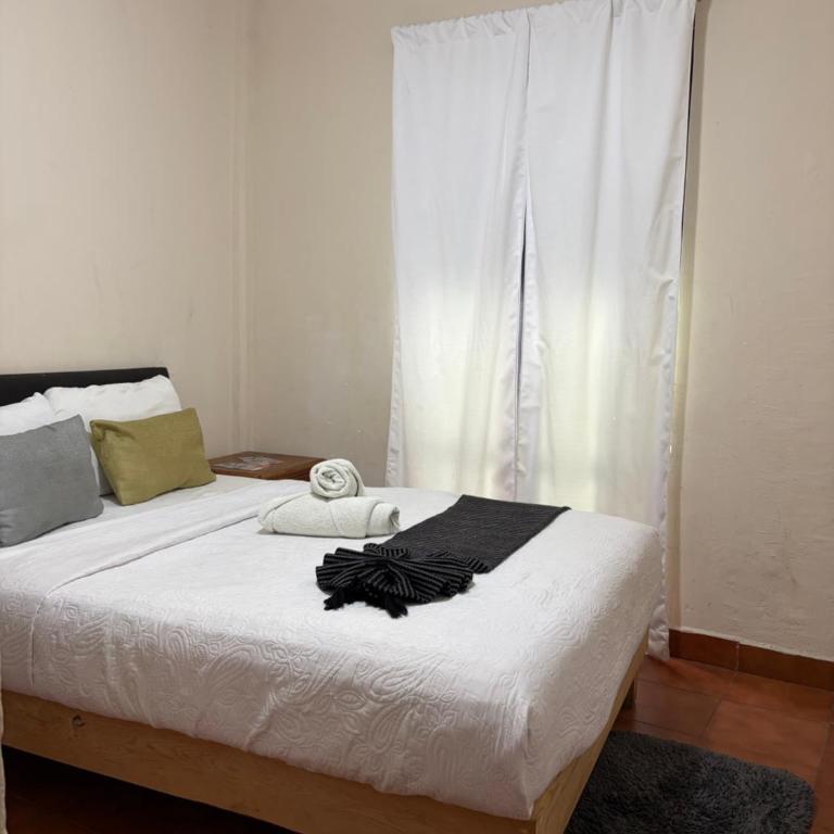 CASARU HOTEL OAXACA - Habitación Doble - 1 o 2 camas - 12
