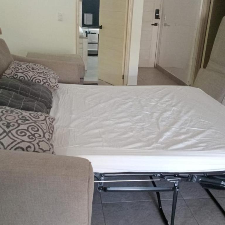 Pedregal Towers - Apartamento de 3 dormitorios - 16