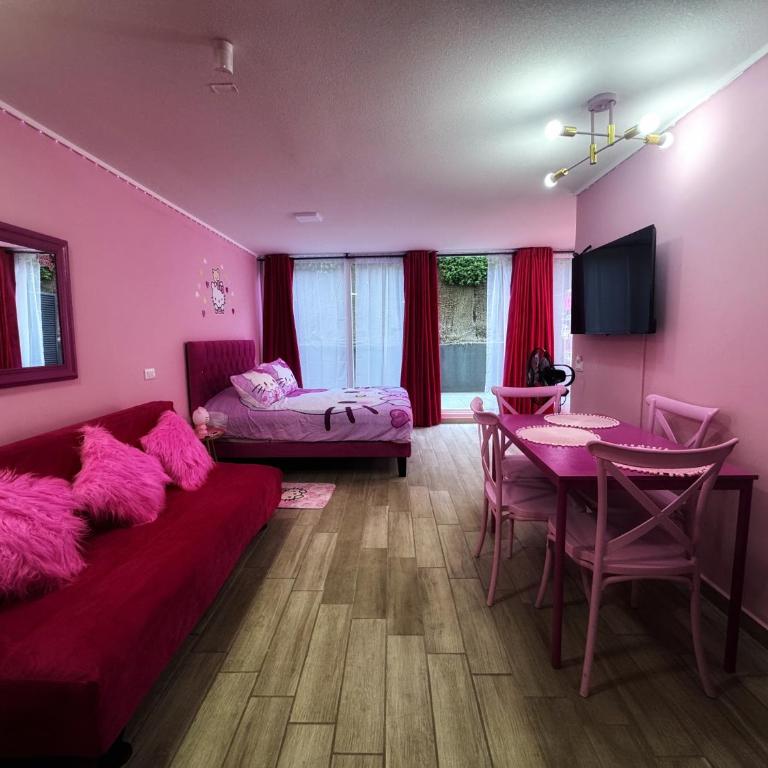 Maravilloso departamento studio - One-Bedroom Apartment - 1