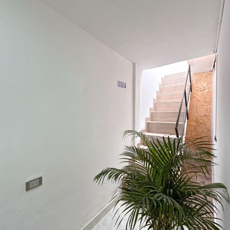 Hostal Rose Moor - Three-Bedroom Apartment - 4