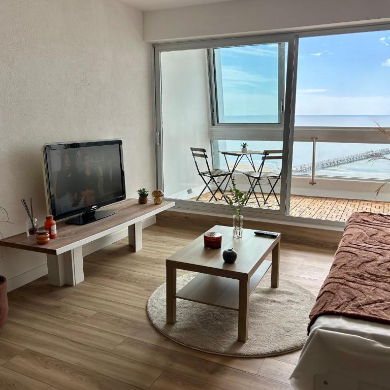 Studio vue mer, animaux acceptés - FR-1-652-65 - Studio - 3