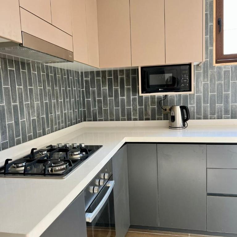 Unbeatable location, Palguin Pad Pucón 2 - Two-Bedroom Apartment - 1