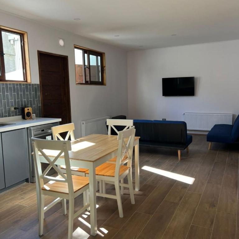 Unbeatable location, Palguin Pad Pucón 2 - Two-Bedroom Apartment - 9