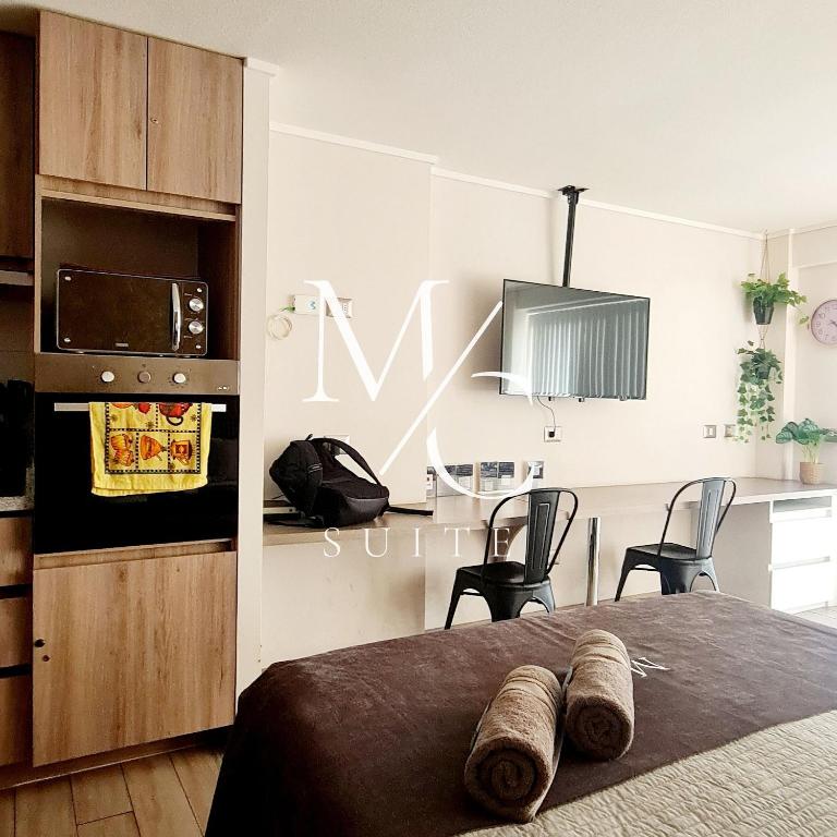 Disponibles Deptos Central, Uribe 305, Mall Plaza 1, 2 y 3 dormitorios. Parking, Wifi y Factura - Two-Bedroom Apartment with Terrace - 53