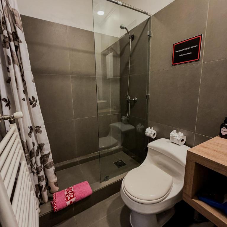 AMSTELHUIS APARTMENTS PROVIDENCIA Santiago Baquedano - Apartment - 5