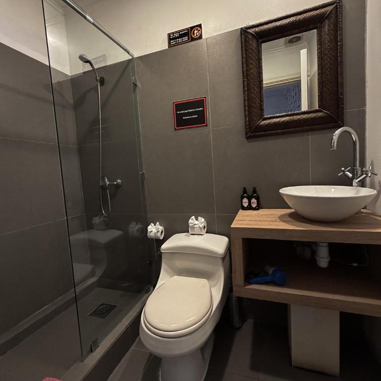 AMSTELHUIS APARTMENTS PROVIDENCIA Santiago Baquedano - Apartment - 6