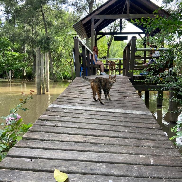 Cabaña en el Delta de tigre Naturaleza y fauna - Casa de 2 dormitorios - 30