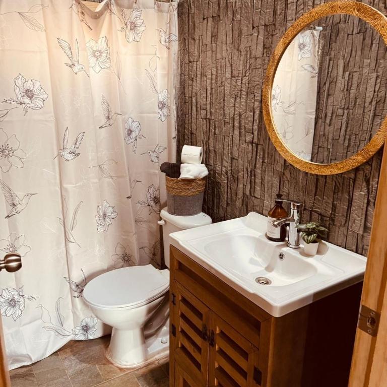 La Ovejera Panguipulli - Two-Bedroom House - 18